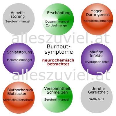 Schema Neurochemie im Körper